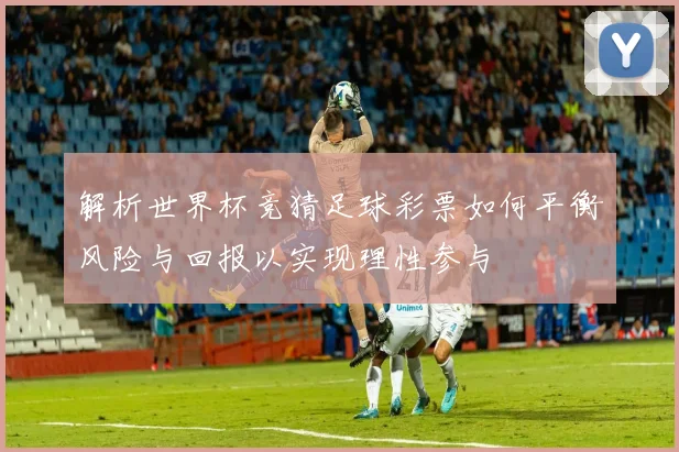 解析世界杯竞猜足球彩票如何平衡风险与回报以实现理性参与