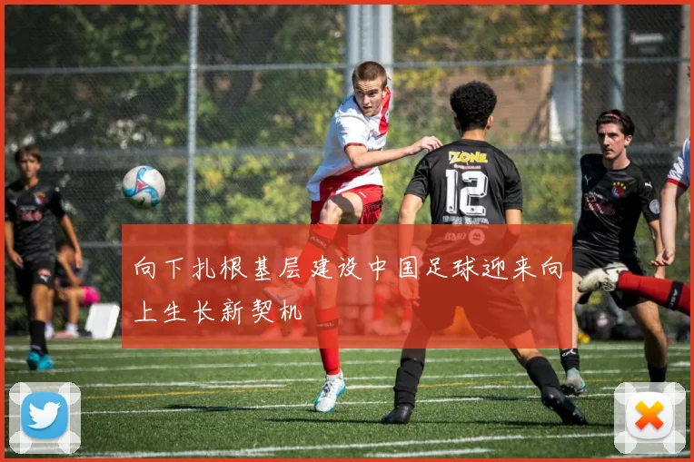 向下扎根基层建设中国足球迎来向上生长新契机